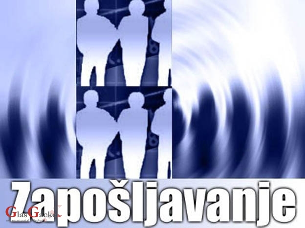 Dogotovljena Strategija razvoja ljudskih potencijala u LSŽ