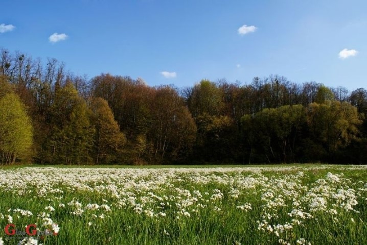 Ekološki značajne površine - što je to? Ekološki značajne površine - što je to?