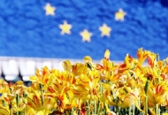 Otvoren natječaj iz zajedničke poljoprivredne politike EU Otvoren natječaj iz zajedničke poljoprivredne politike EU