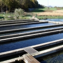 Potpore za ulaganja u akvakulturu