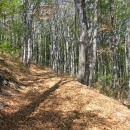 Jesen ide, dunjo moja ...