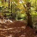 Jesen ide, dunjo moja ...