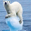 Kako se nositi s klimatskim promjenama?