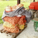 Bir za riječko sjemenište još uvijek traje