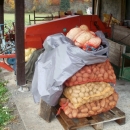 Bir za riječko sjemenište još uvijek traje