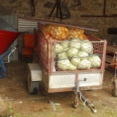 Bir za riječko sjemenište još uvijek traje