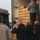 Pomoć županija u korištenju mjera EU za neretvansku mandarinu