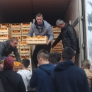 Pomoć županija u korištenju mjera EU za neretvansku mandarinu