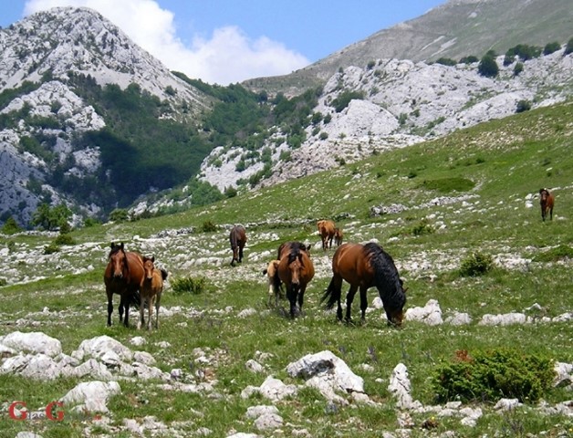 Mogu li zaštita prirode i seljaci zajedno?