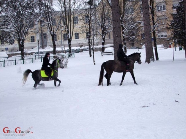 Konji bijeli, konji vrani ... zekani ponajviše