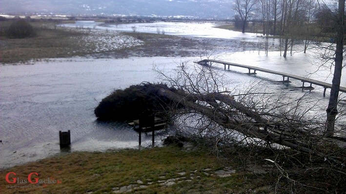 Stabla s korijenjem, pa u Gacku