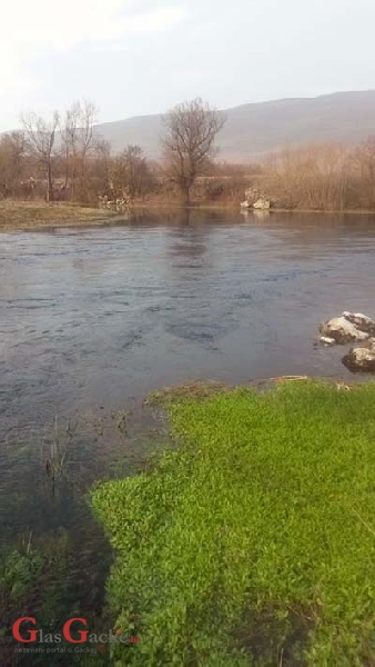 Raste trava zelena, zelena, zelena ... Raste trava zelena, zelena, zelena ...
