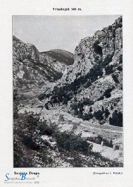 Senjska draga nekad i sada