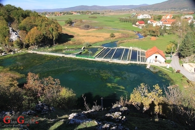 Hrvatski centar za autohtone vrste riba i rakova ... - dani otvorenih vrata
