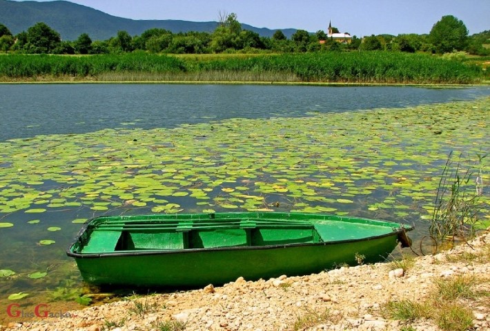 1. Ivanjski dani u Švici
