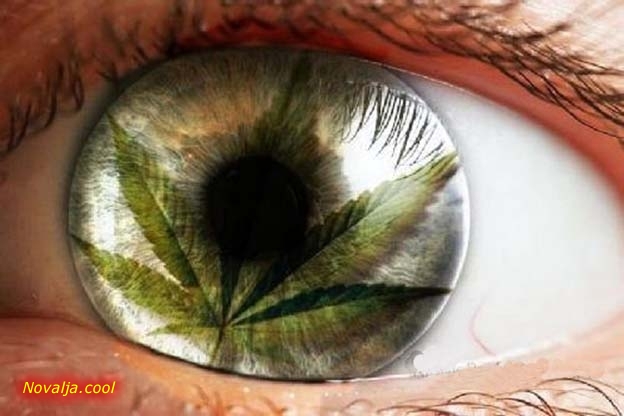 Nešto malo marihuanice, hašišića i nešto malo kojekakvih tabletičica