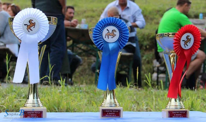 Održana smotra konja u Krivomu Putu