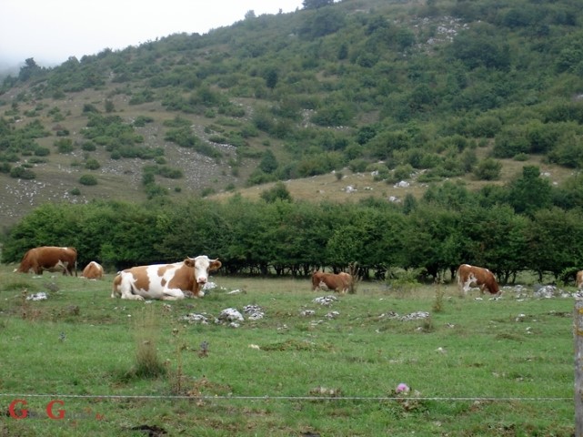 Ne isplati se