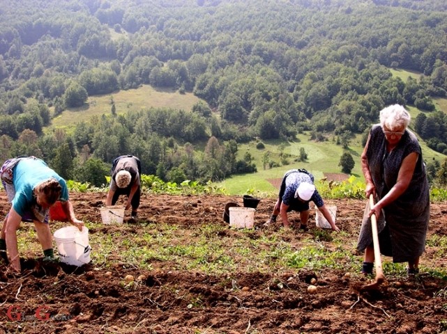 Poticajne mjere za brdsko-planinska područja