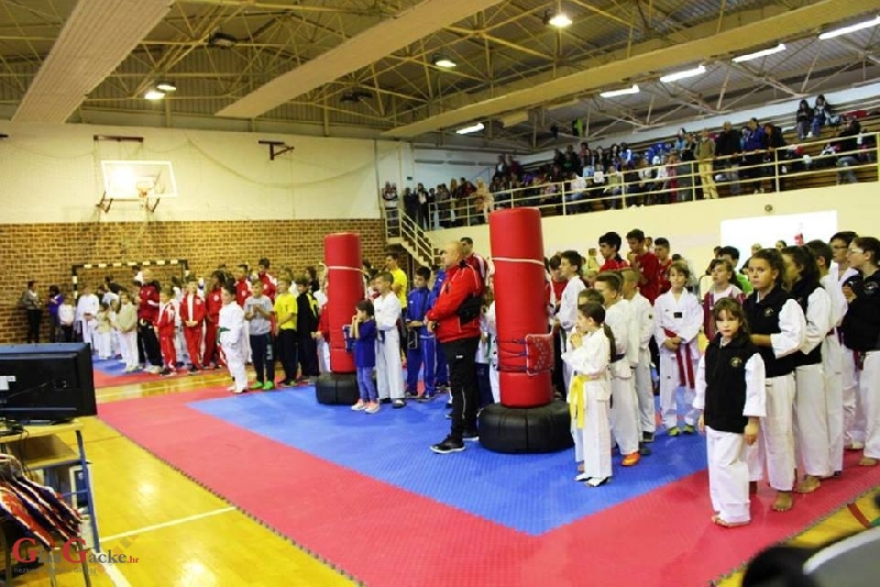  Izvrstan početak - prvi taekwondo turnir  "BRINJE OPEN" u Brinju 