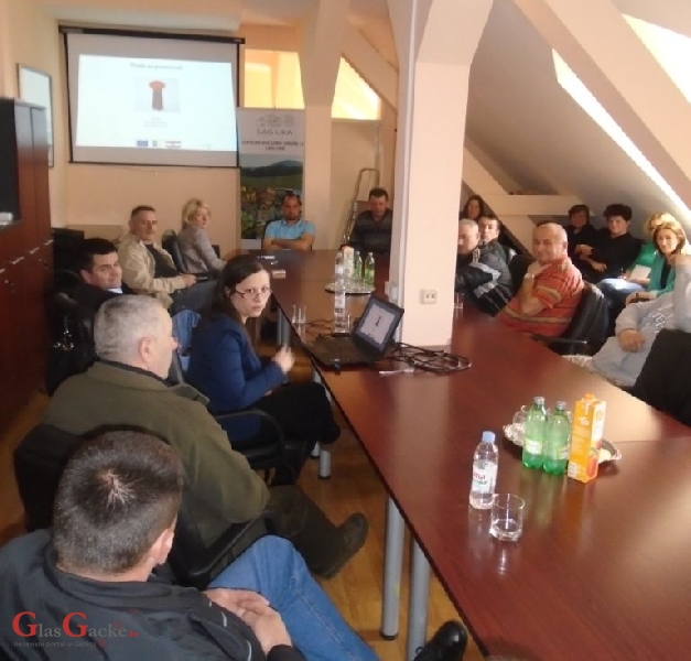 Održana prezentacija LAG-a Lika u Brinju