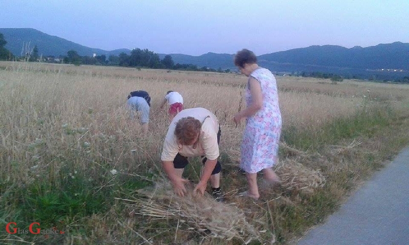 KUD „Lipa“ i žetva uoči Ilinje