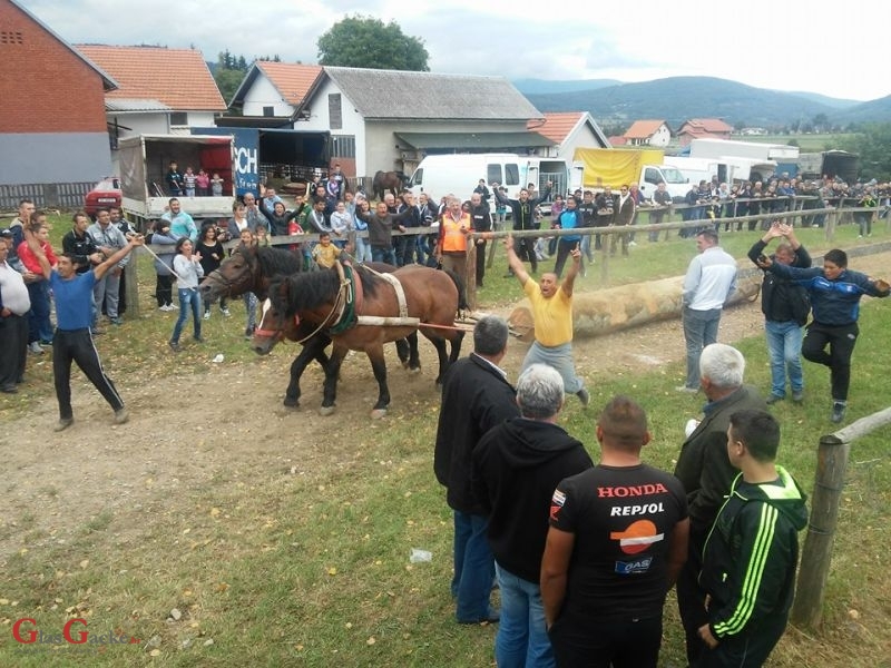 "Brinjski sokol" organizirao natjecanje u šlajsu trupaca