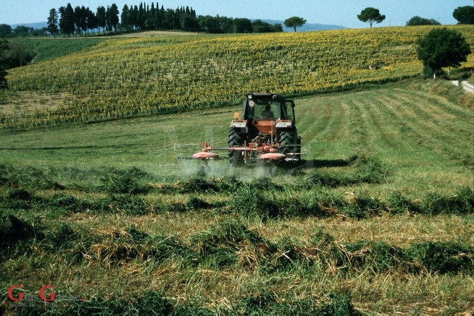 Edukacija za poljoprivrednike korisnike mjera ruralnog razvoja