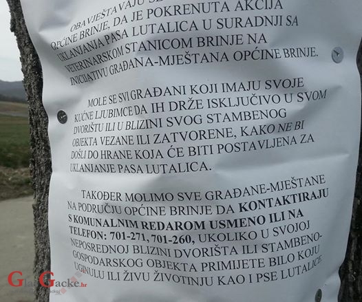 U Brinju postavljen natpis da je pokrenuta akcija uklanjanja pasa lutalica 