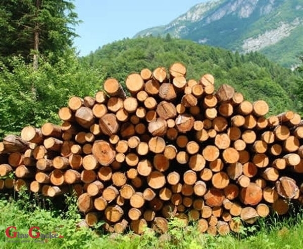 Osumnjičen za krađu drva Osumnjičen za krađu drva