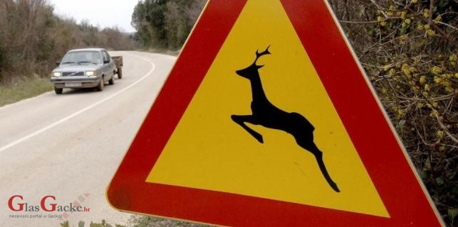 Pet naleta vozila na divljač 