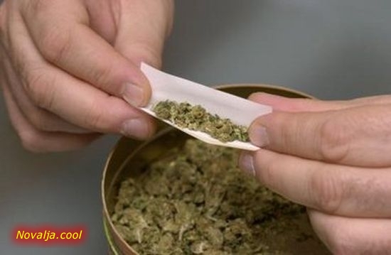 U Novalji i Senju pronađena droga i kokain kod tri osobe 