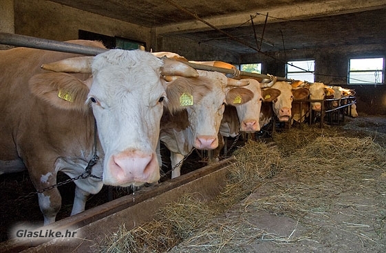 Javni poziv za dodjelu bespovratnih potpora u poljoprivredi i ruralnom razvoju Grada Gospića Javni poziv za dodjelu bespovratnih potpora u poljoprivredi i ruralnom razvoju Grada Gospića