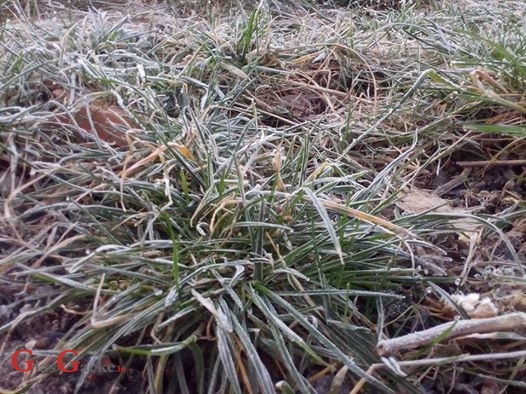 Jutros Otočac na -3°C, veliki mraz !