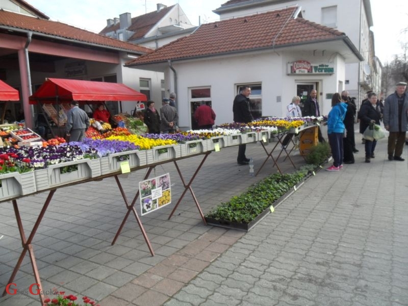 Srijeda sajmeni dan u Otočcu 