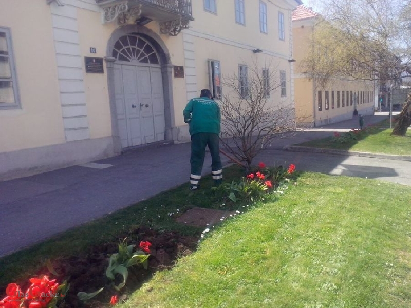 Uređenje cvjetnih gredica i zelenih površina 