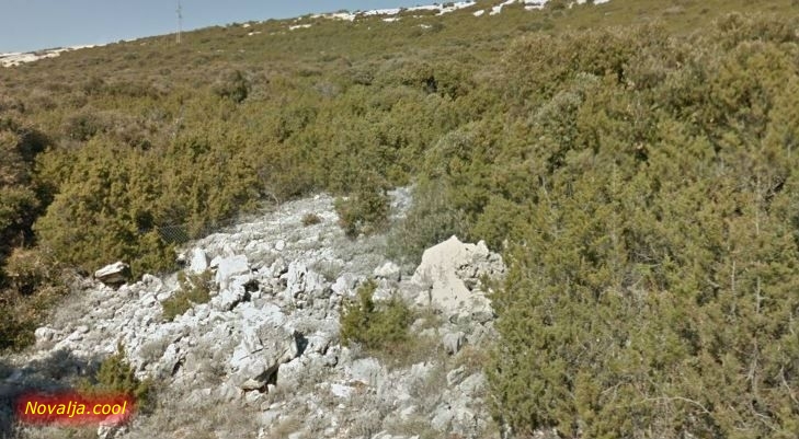 Akcija čišćenja sobine radi lakšeg odstrela čaglja Akcija čišćenja sobine radi lakšeg odstrela čaglja