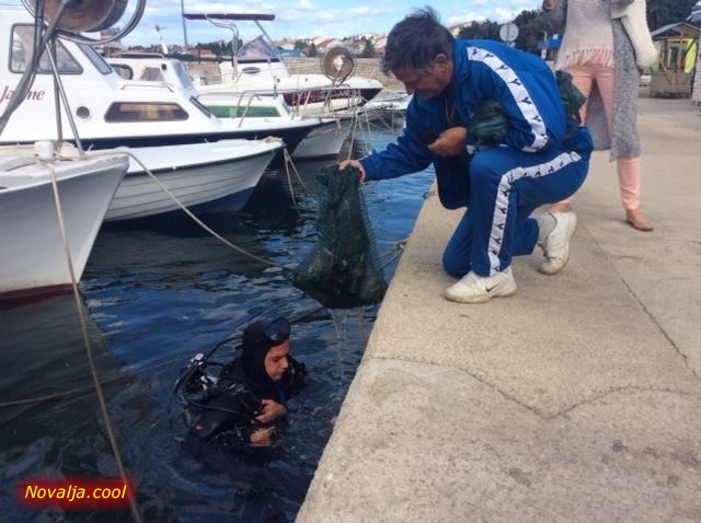 Novalja Eko 2015 - čišćenje podmorja i Grada