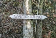 "Vamo i tamo" u milomu nam hrvatskomu jeziku "Vamo i tamo" u milomu nam hrvatskomu jeziku
