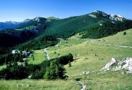 Sutra, na "osnutakdan", u NP Sjeverni Velebit ulaz slobodan Sutra, na "osnutakdan", u NP Sjeverni Velebit ulaz slobodan
