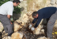 Radovi u Vrtovima Lunjskih Maslina Radovi u Vrtovima Lunjskih Maslina