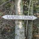 "Vamo i tamo" u milomu nam hrvatskomu jeziku