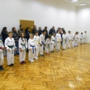 Polaganje za školske pojaseve - Taekwondo Gacka 