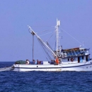 Potpore za privremenu obustavu ribolova