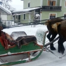 Gripa, karoca ili koš