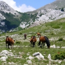 Udruga općina u RH zatražila dodatna objašnjenja od Ministarstva poljoprivrede