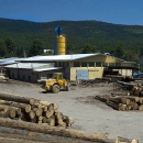 Gasi li se drvna industrija u Ličko-senjskoj županiji