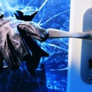 Provale, provale ...