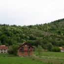 Rascvjetali jaseni i "trubenta"