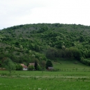 Rascvjetali jaseni i "trubenta"